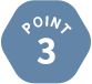 POINT 3